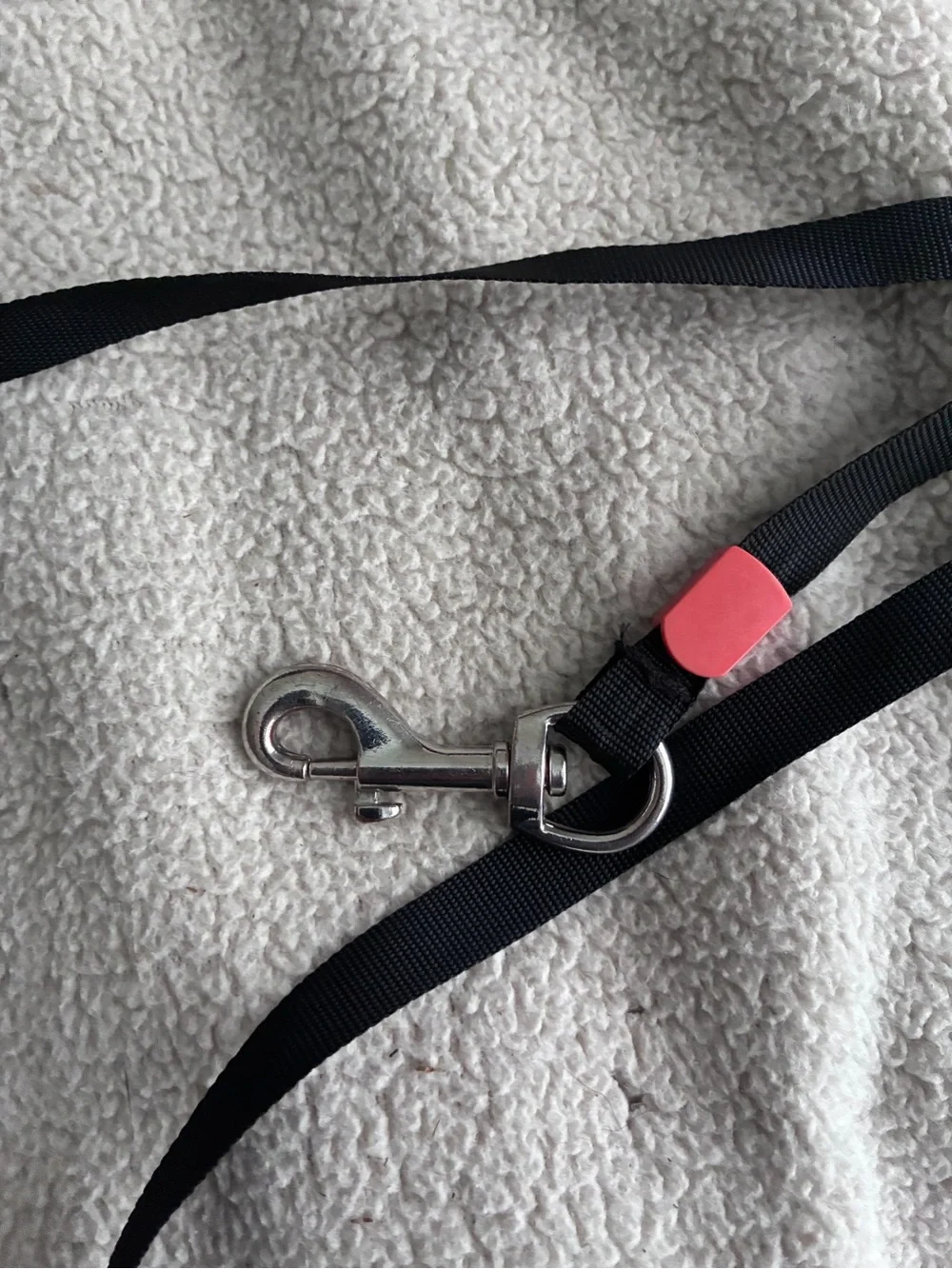 7ft Long Line Training Leash